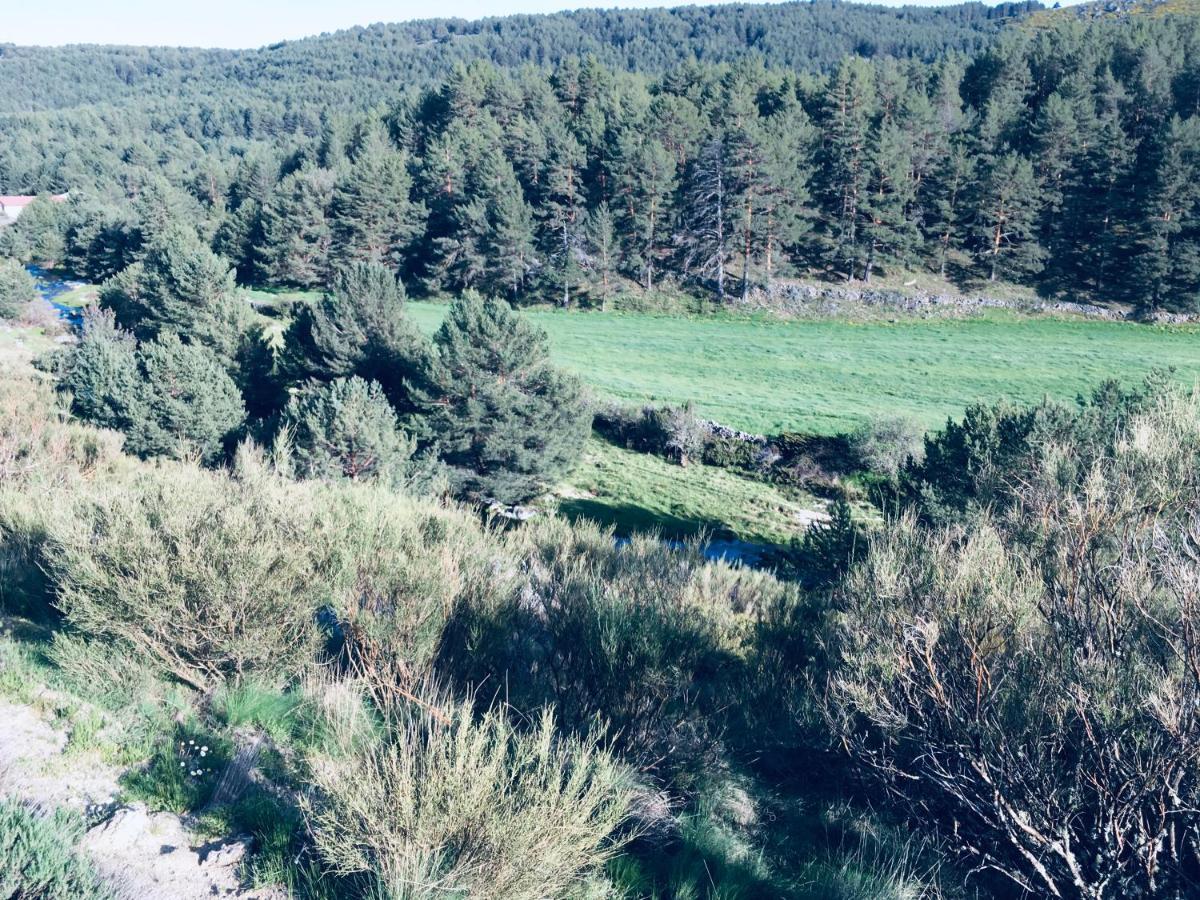 Artesano I Y III Guest House Navarredonda de Gredos Bagian luar foto